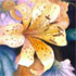 framed art by wendy martin for sale
