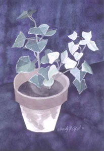 little ivy