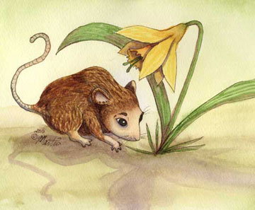 watercolor illustration