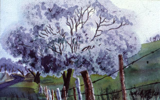 fine art watercolor by wendy martin for sale