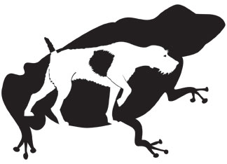 vom Frosch Bach Kennel