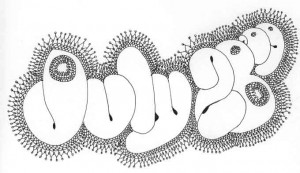 dailydoodle7-28-09