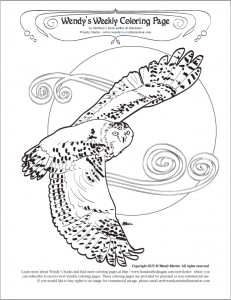 snowy owl coloring page