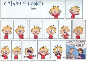 kidlit portfolio Calvin and Hobbes faces